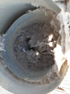 A close-up view inside a metallic dryer vent duct shows a large buildup of gray, dusty lint and debris clinging to the walls, partially blocking the airflow. Loose lint fibers are visible, signaling the need for cleaning to prevent fire hazards.